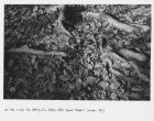 Our Time is Like the Passing of a Shadow (After Derek Jarman\'s \'Chroma\', 1994), 2011 